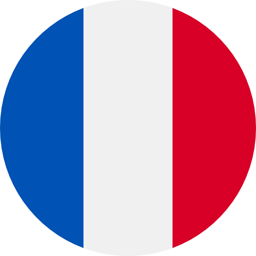 Information security for the French market