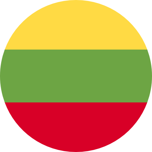 Information security for the Lithuanian market